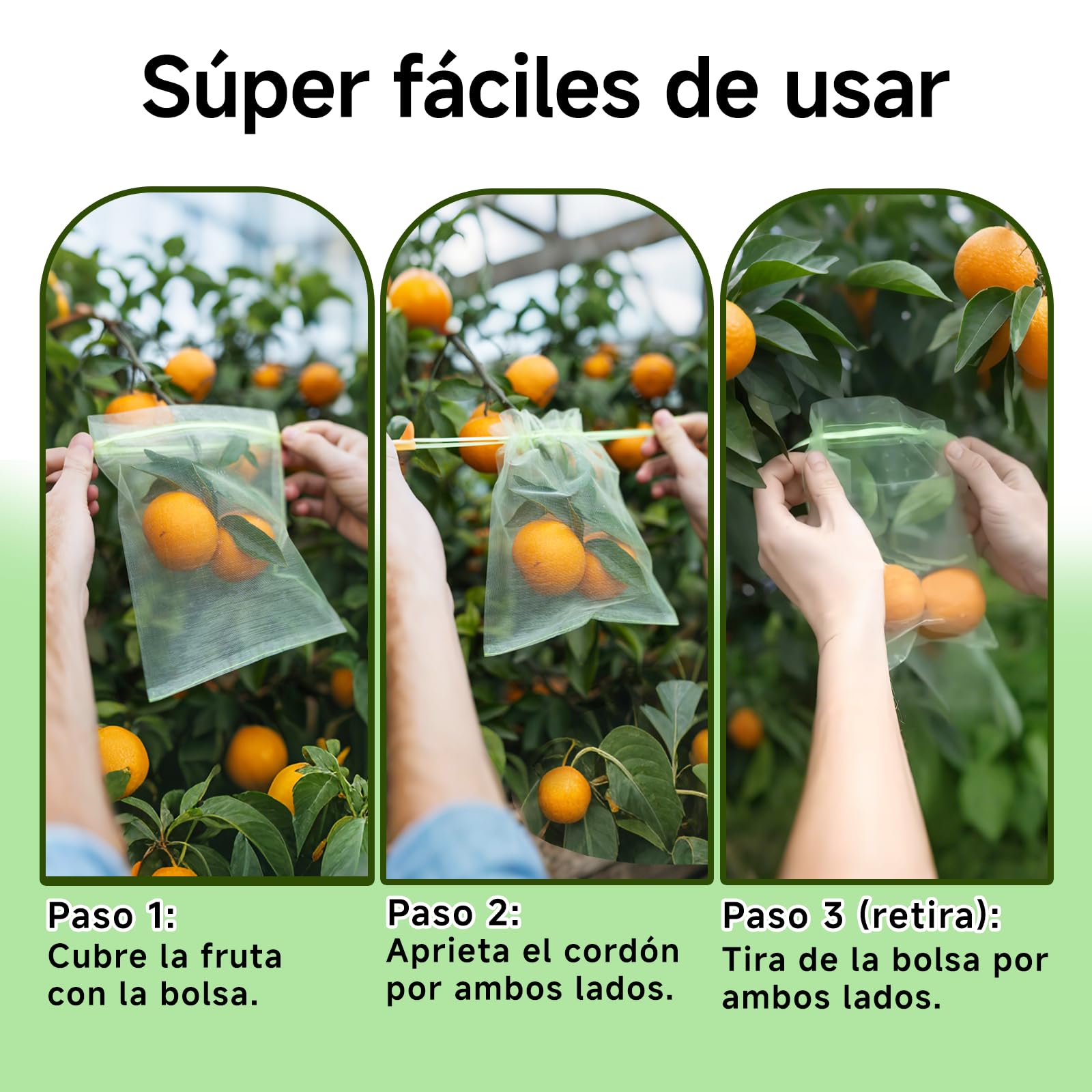50 Bolsas Protectoras para Uvas con cordón de 15×20 cm, Bolsas de Fruta Reutilizables de Organza en Malla Verde, Red antipájaros para el huerto