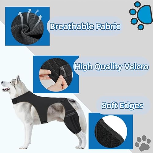 Miniatura 6 de Rodillera doble para perro para desgarro del ligamento cruzado anterior y CCL - Tirantes ajustables para patas traseras para perros grandes con