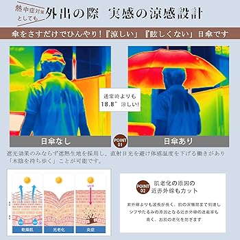 Amazon | 【完全遮光日傘2025登場】Zruier 日傘 メンズ 完全遮光 長傘