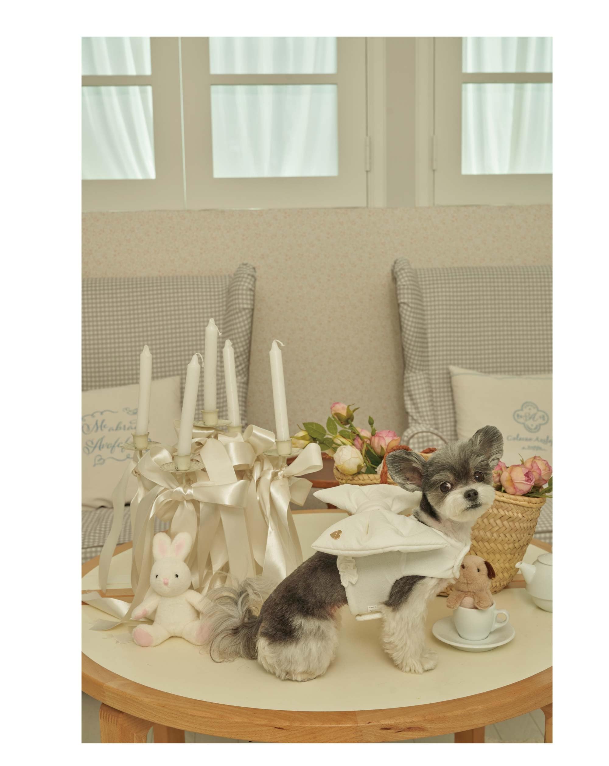 リボンハーネス♡ 楽天市場】【LINE追加10%OFFクーポン】 moncheri モンシェリ 犬