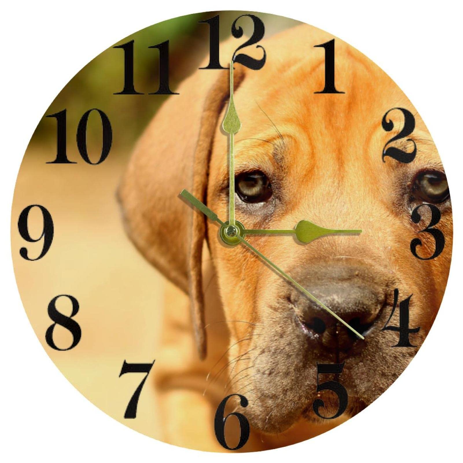 Horloge Rhodesian Ridgeback pour cuisine et bureau décor chien sans bruit