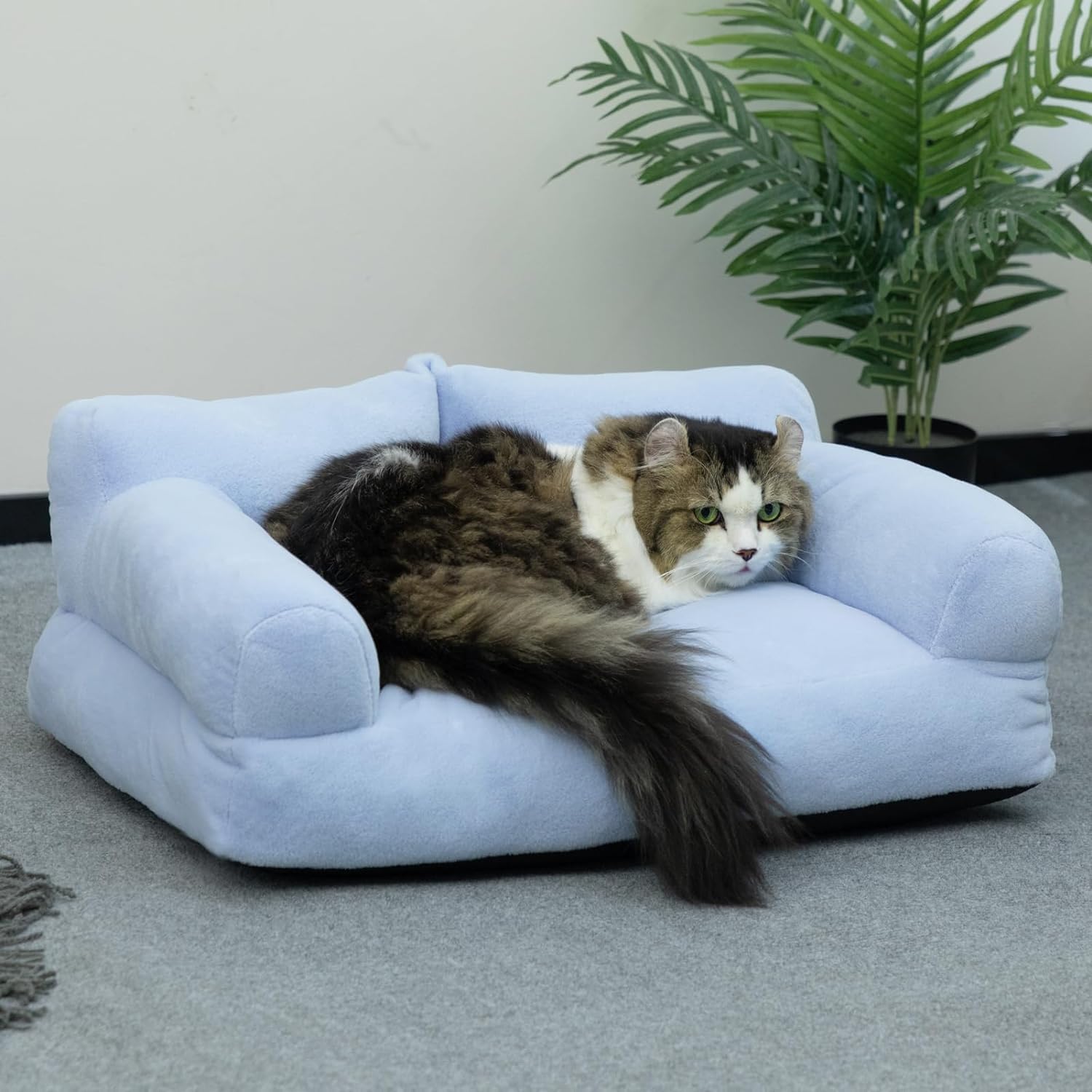 ROYALS RORE Dog Bed & Cat Bed for Winters Washable Reversible Pet Beds Light Blue Anti Slip Hand Washable Sofa Bed (3XL) (B0D5DLFV5Q) Amazon Price History, Amazon Price Tracker
