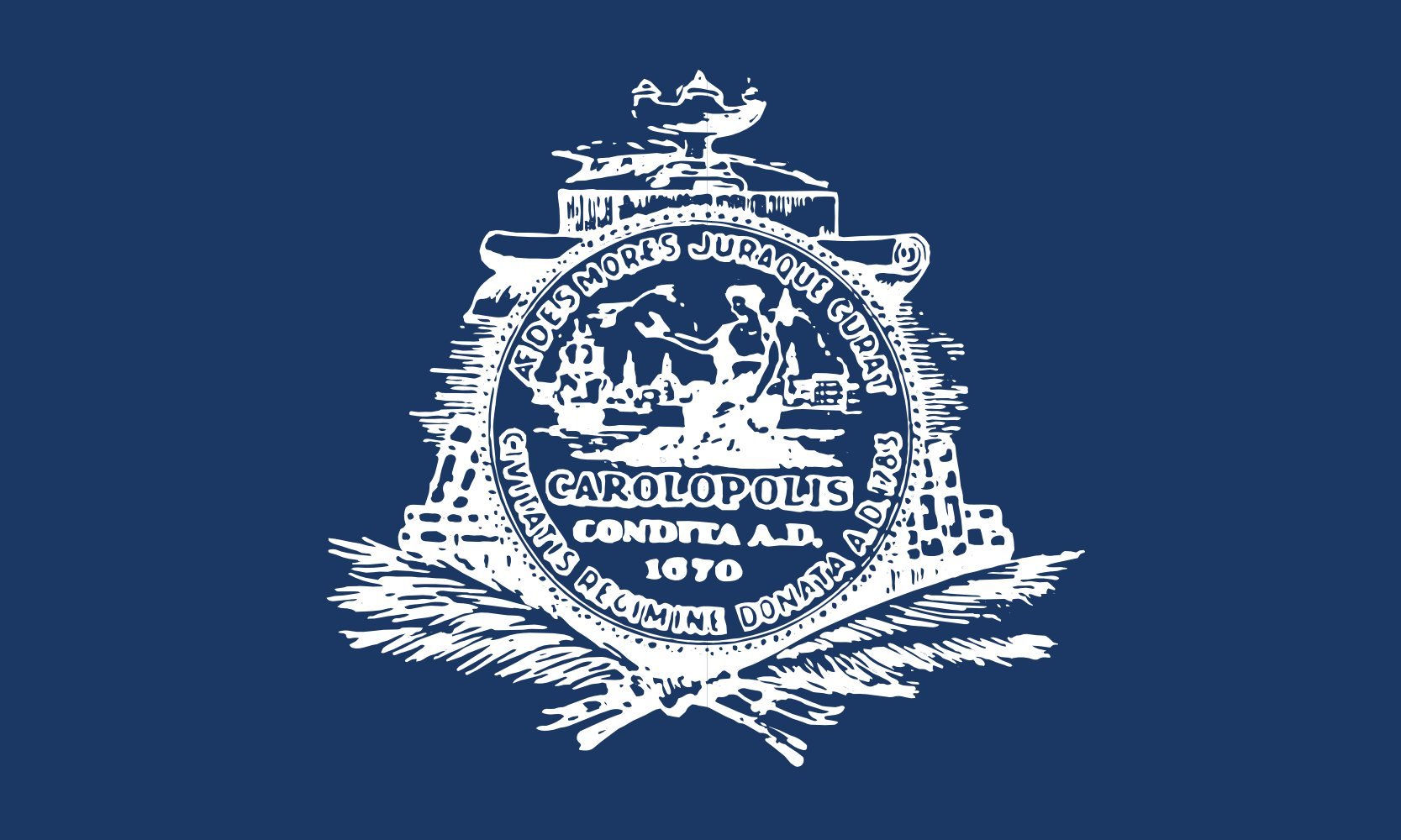 Drapeau Charleston South Carolina grand format idée cadeau histoire