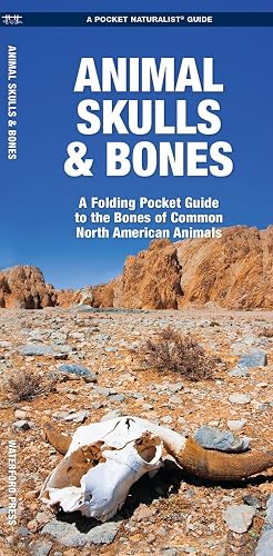 Animal Skulls &amp; Bones Laminated: A Laminated Folding Guide to the Bones of Common North American Animals (Outdoor Skills and Preparedness)