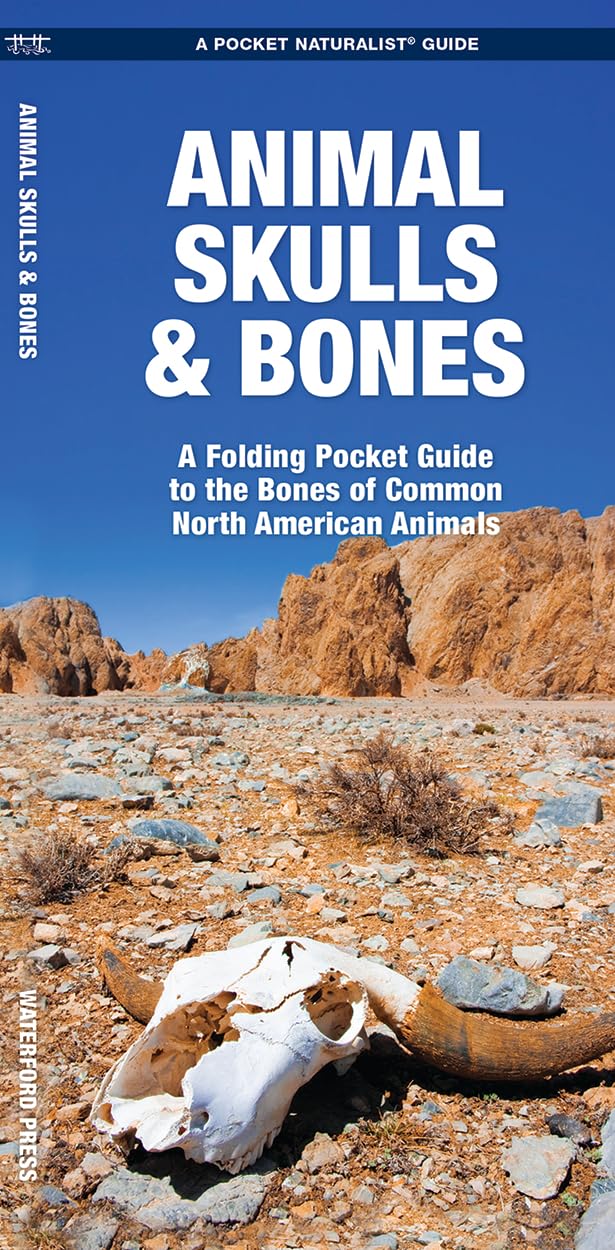 Animal Skulls & Bones (Outdoor Recreation and Survival)