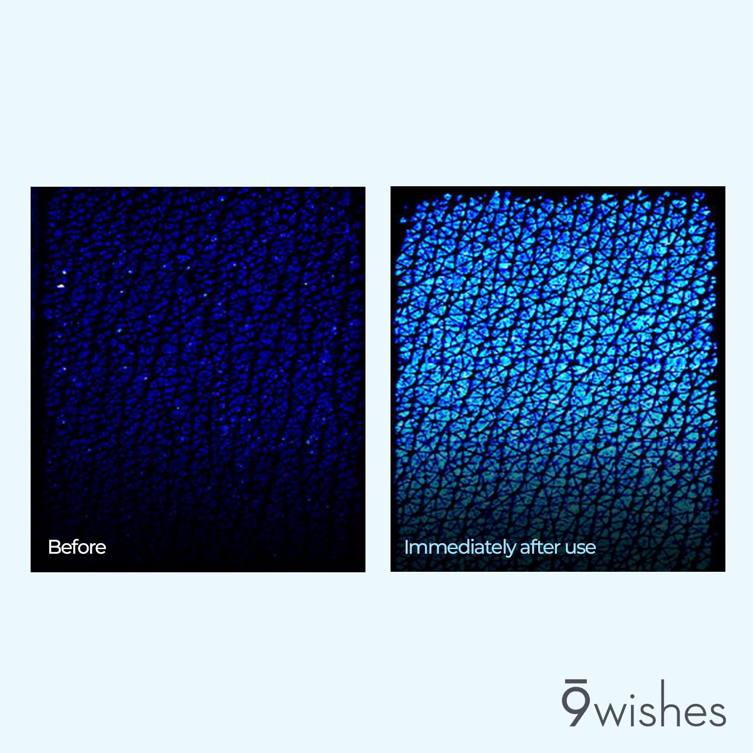 9 wishes Hydra Ampule Cream 1.7Fl. Oz, 50ml Powerful Hydration with Coconut Water - Long Lasting Hydration Facial Moisturizer - Image 4