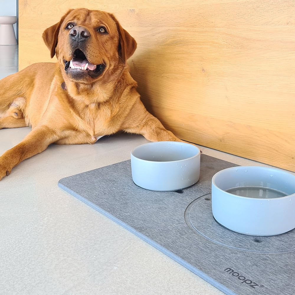 MOOPZ Tapis Animaux Diatomite + Gamelles Gris Brume