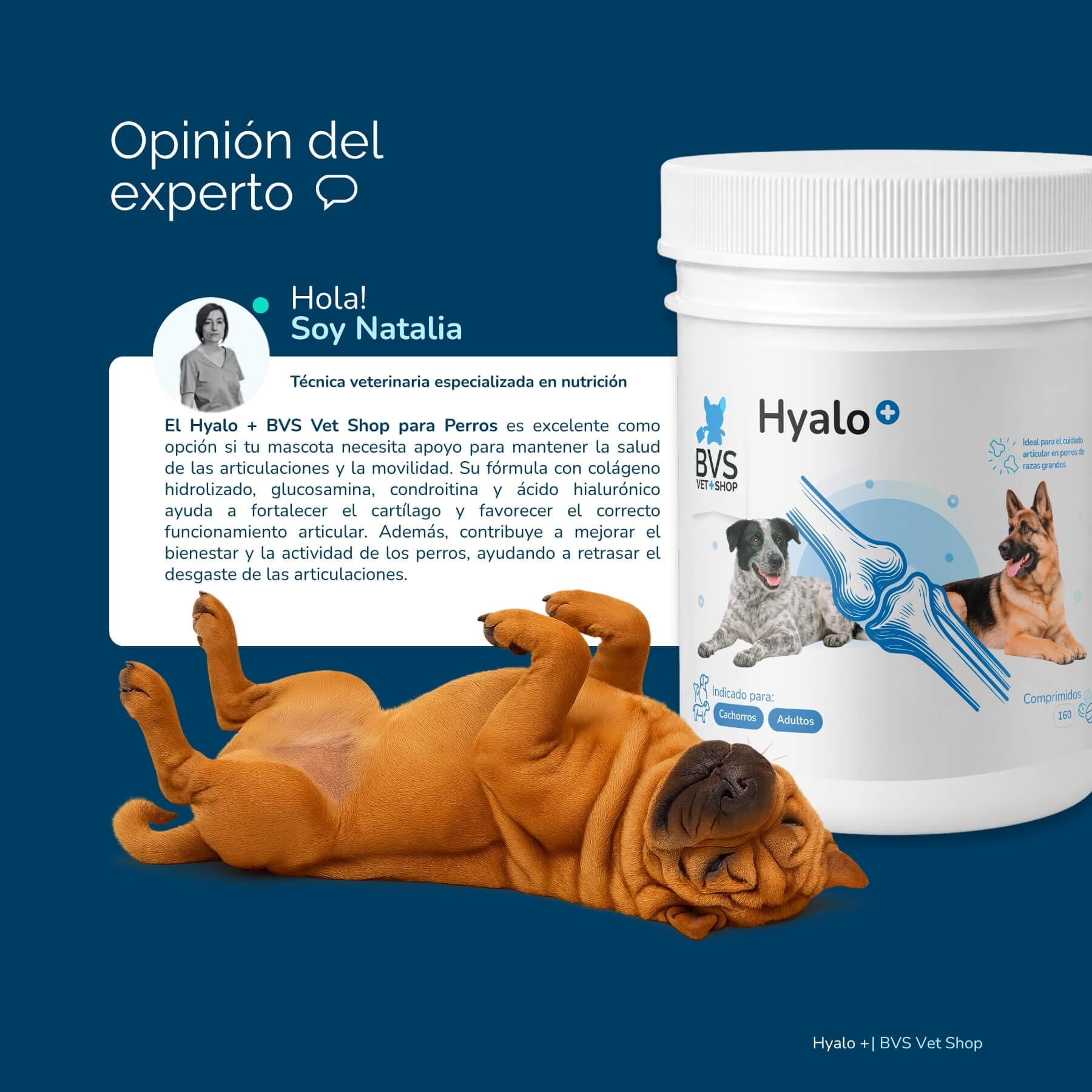 BVS Vet Shop | Hyalo Plus para Perros | Fortalece el Tejido cartilaginoso y Mejora la Movilidad de tu Mascota | 480 Comprimidos