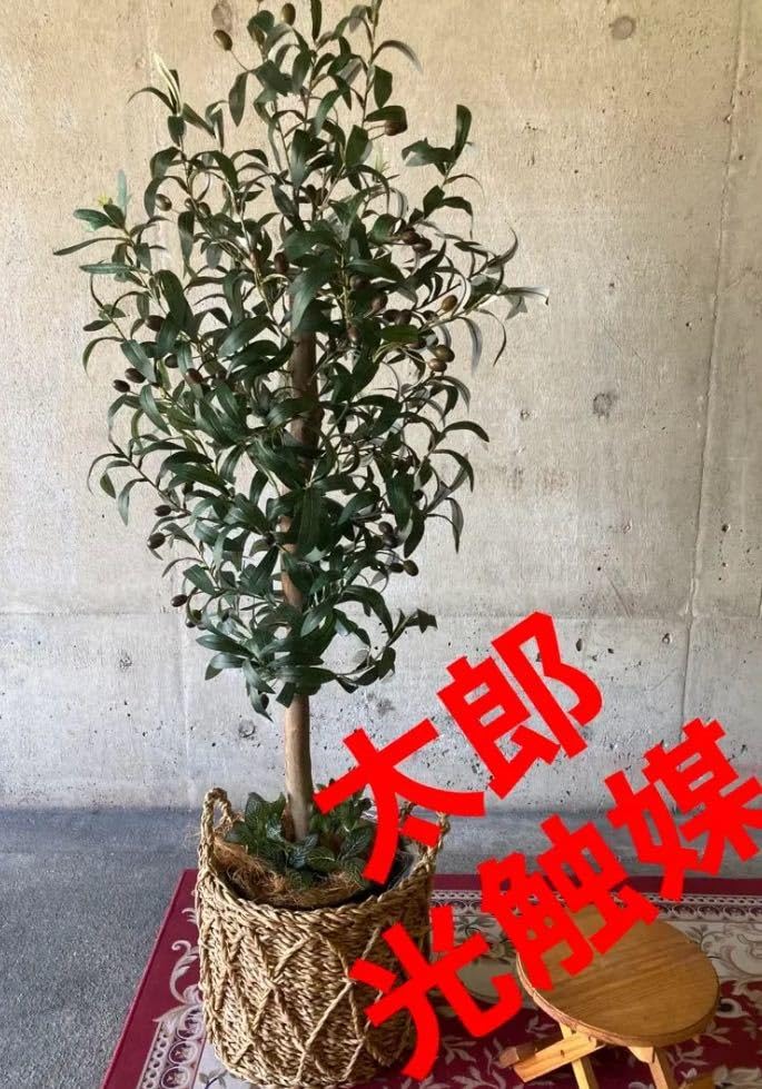 Amazon.co.jp: 光触媒 人工観葉植物 ウォールグリーン フェイク 