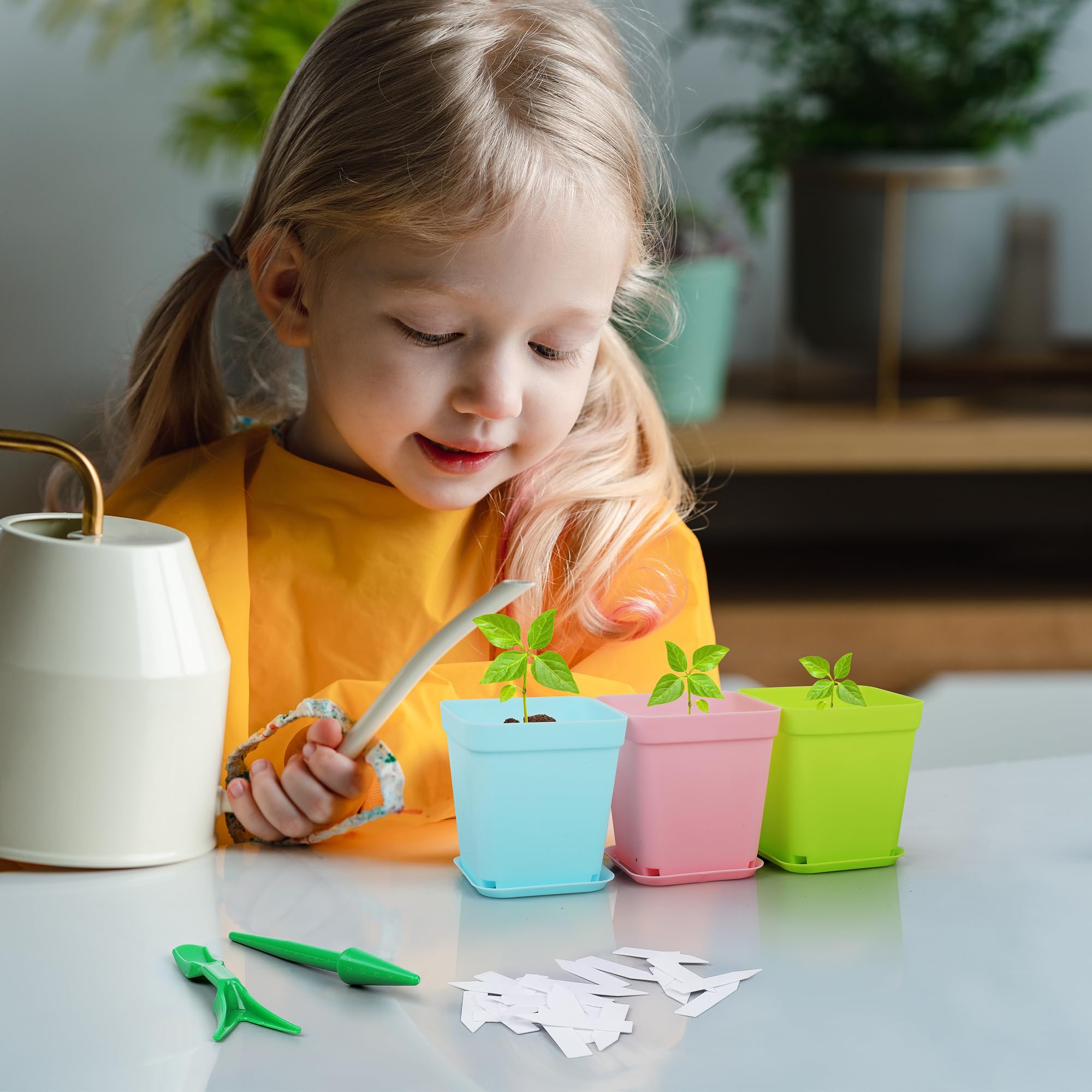 36 Juegos De Macetas Con Cúpula De Humedad, Macetas Biodegra | Meses