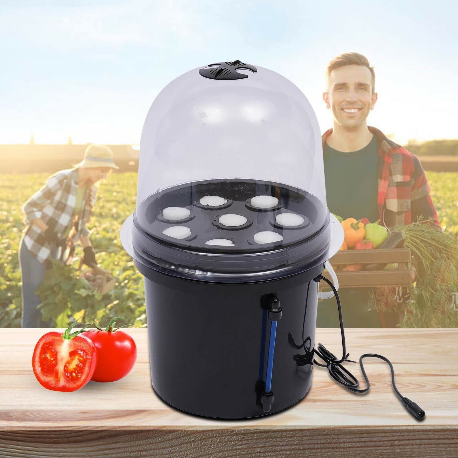 Zimmergewächshaus Anzuchtschale, 5L 8 Löcher Aeroponisches Vermehrungsset Mini Anzuchtkasten Pflanzen Aeroponic Hydroponic Setzling Klonsystem