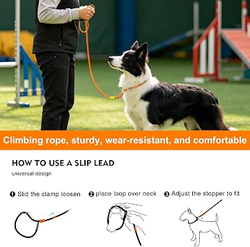 Slip Leads for Dogs 5FT x 3/8 in Leash, Professional Dog Training Leash, 2-in-1 Dog Lead & Collar,Suitable for All Dogs(Orange)