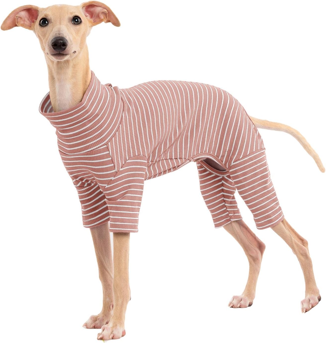 Dog Sweaters for Small Dogs Girls Boys, Striped Pet Sweaters for Fall Winter Dog Clothes, Turtleneck Pullover Knitwear for Small Medium Large Dogs