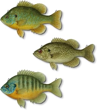 Putuo Decor 3 Pcs Beach Wooden Fish Wall Decor Coastal Hanging Wall Art Ocean Style Decoration for Fishing Lodge Bathroom Lake House
