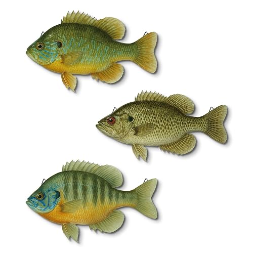 Putuo Decor 3 Pcs Beach Wooden Fish Wall Decor Coastal