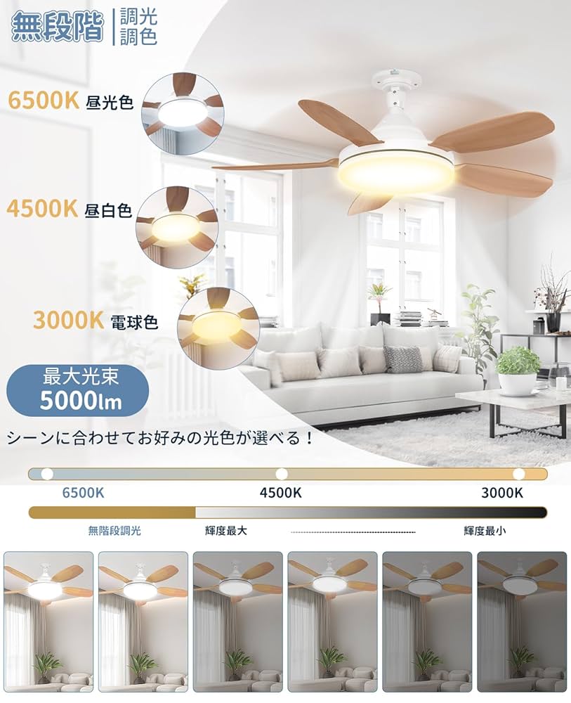 天井照明 ファン付き 白熱電灯】アイク株式会社 照明器具