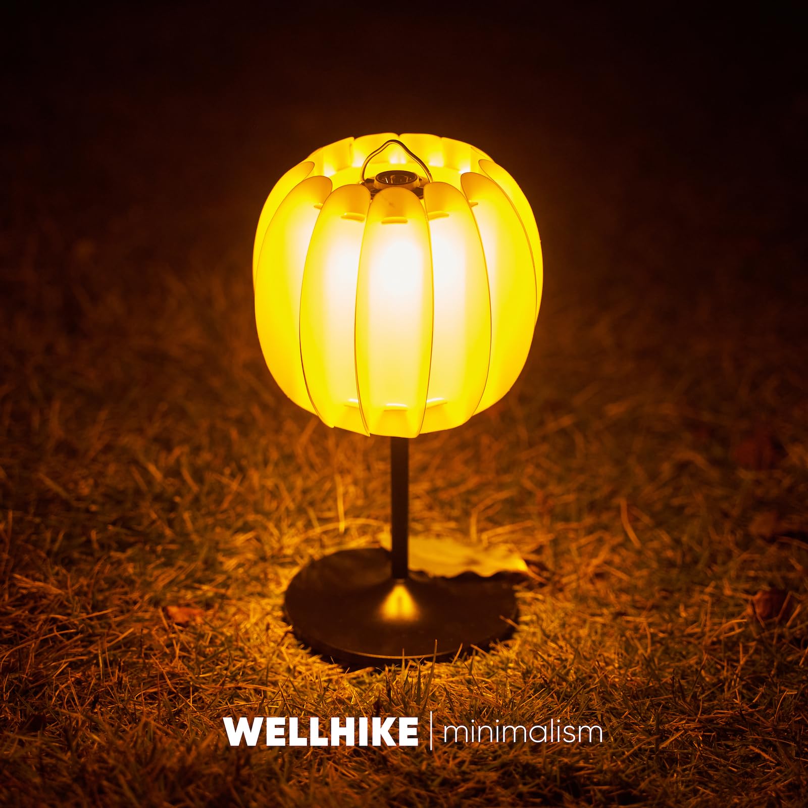 Amazon.co.jp: WELLHIKE ゴールゼロ スタンド 38explore ランプベース