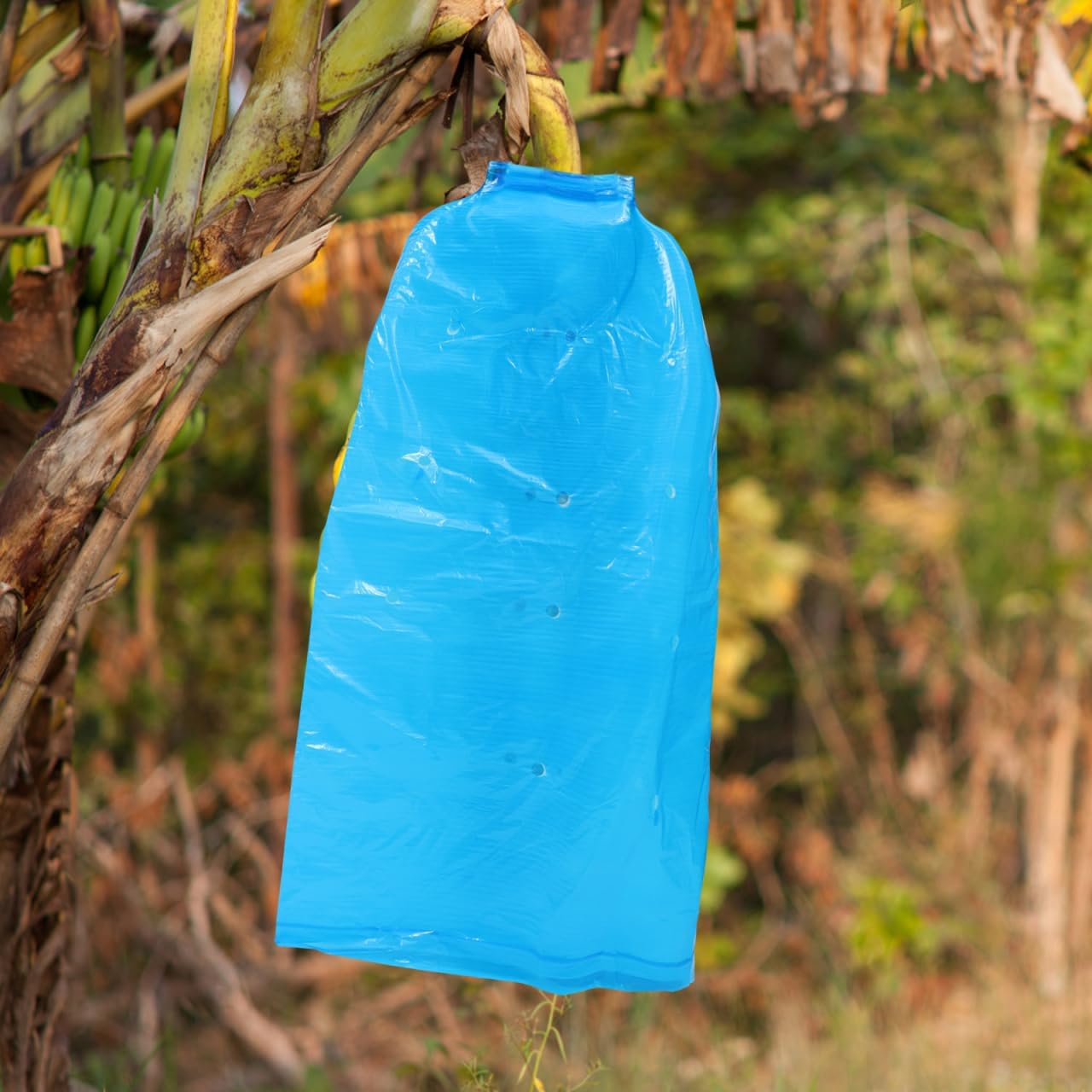 Cabilock Banana Protective Covers 5Pcs Reusable Non-Woven Fruit Ripening Bags with Rainproof and Frost Protection for Garden and Orchard Use