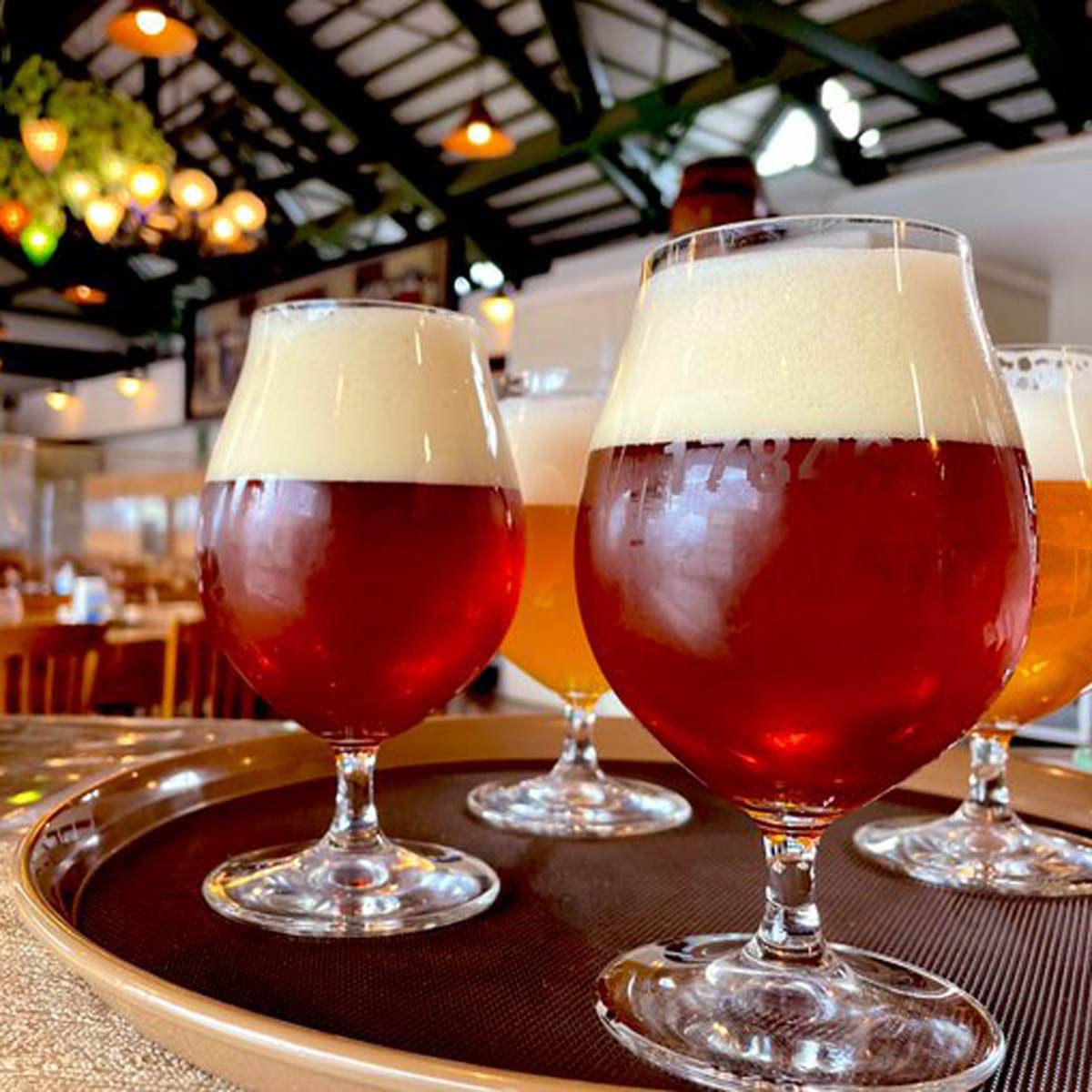 Amazon.co.jp: 猪苗代地ビール「17846」 5本セット 5種各330ml