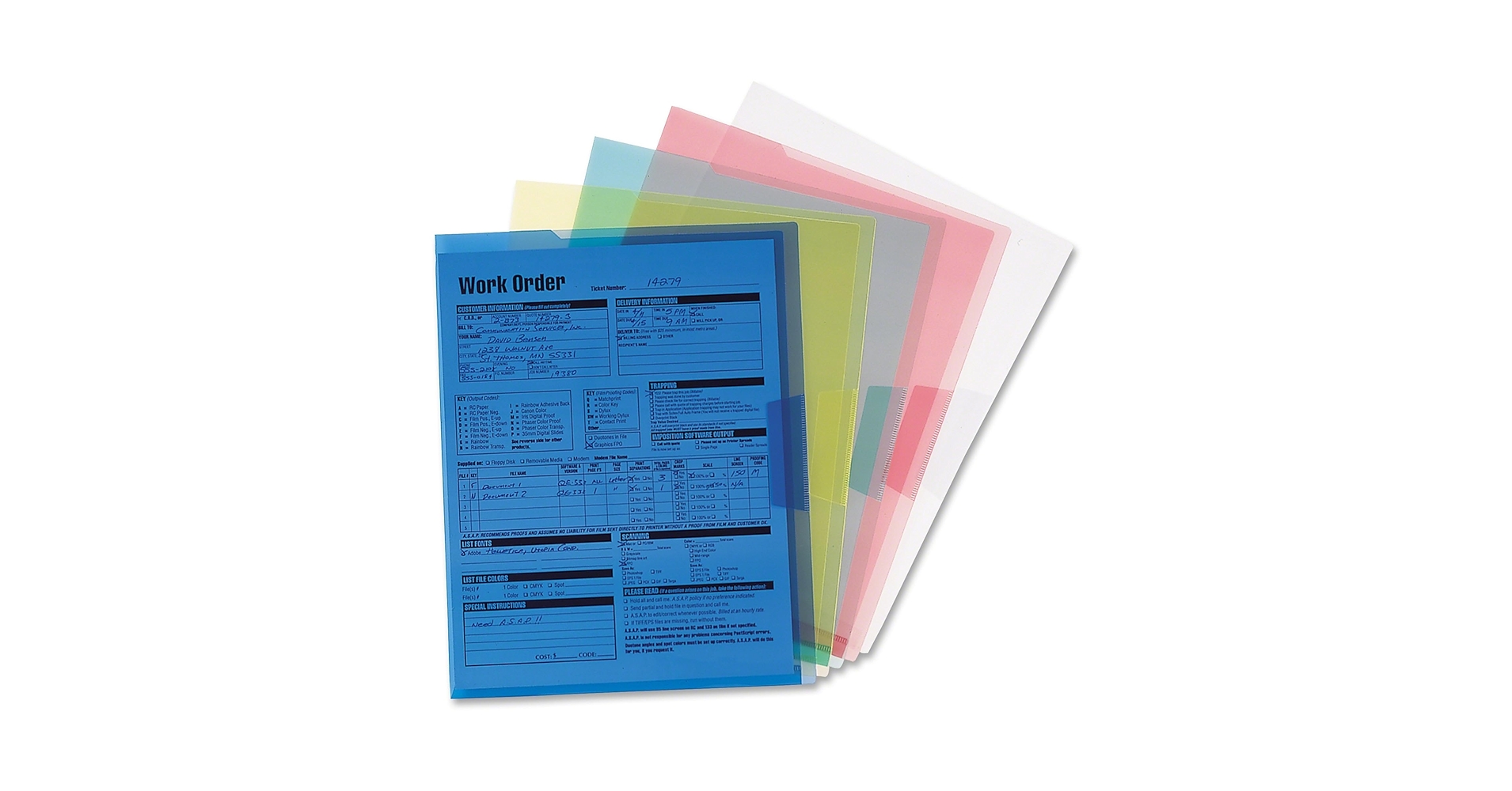 Amazon.com : Smead Organized Up Poly Translucent Project
