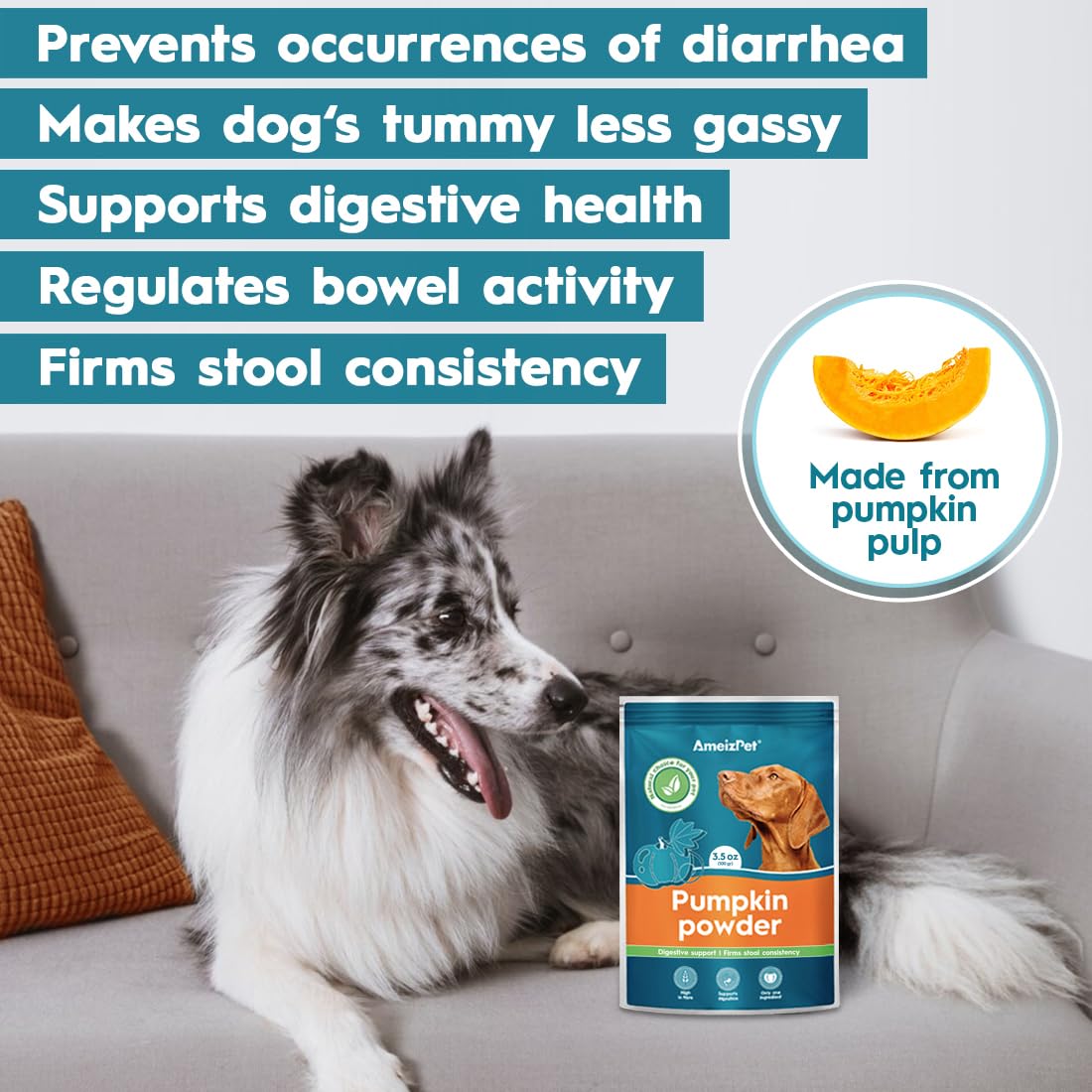 AmeizPet Pumpkin Powder for Dogs To Create Pumpkin Puree - Image 4