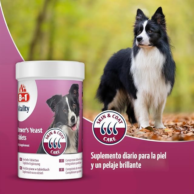 Foto 2 de 6 de 8in1 Pastillas de levadura de Cerveza: combinación única de vitaminas para Todos los Perros