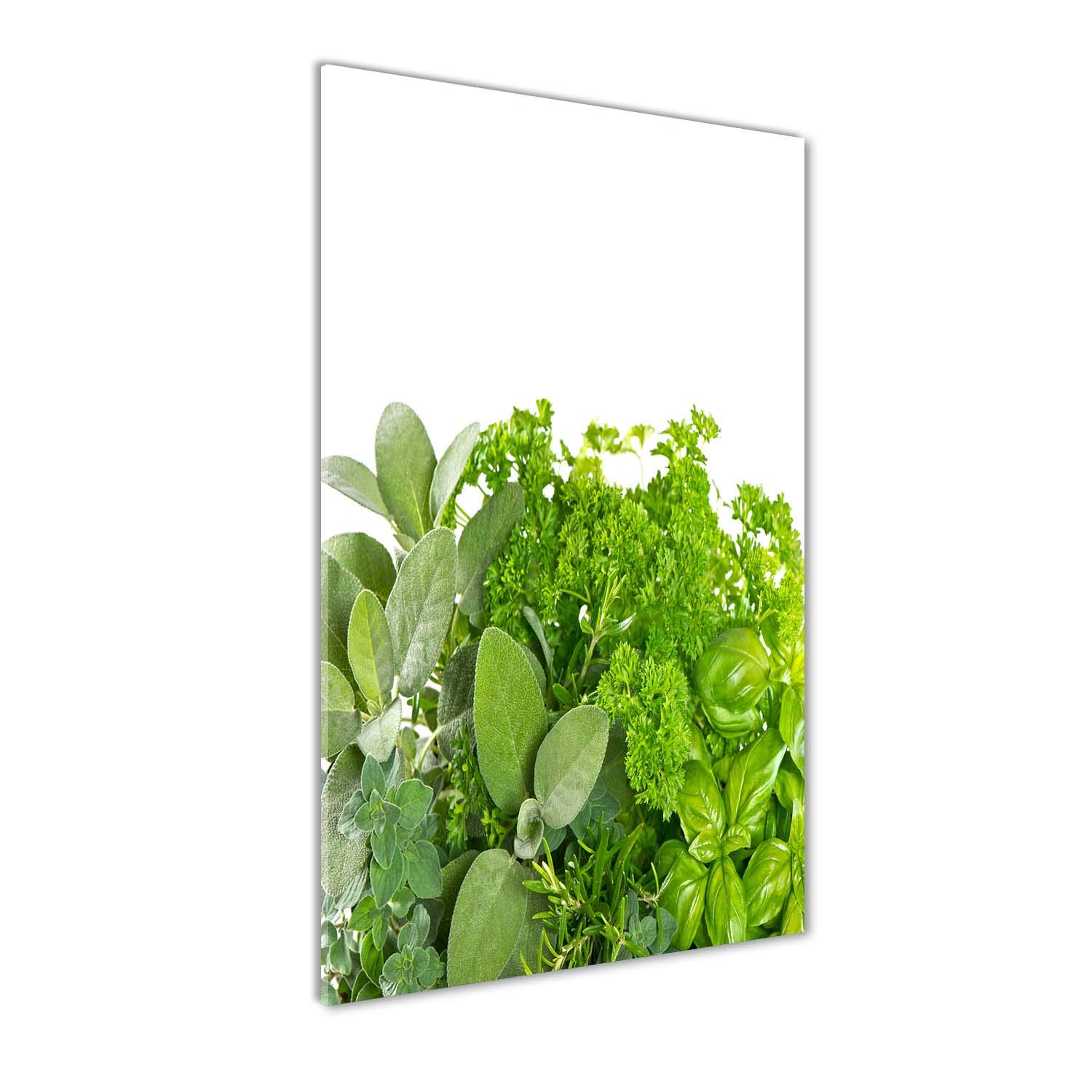 Tableau en verre 50x100 cm herbes vertes pour sublimer votre cuisine