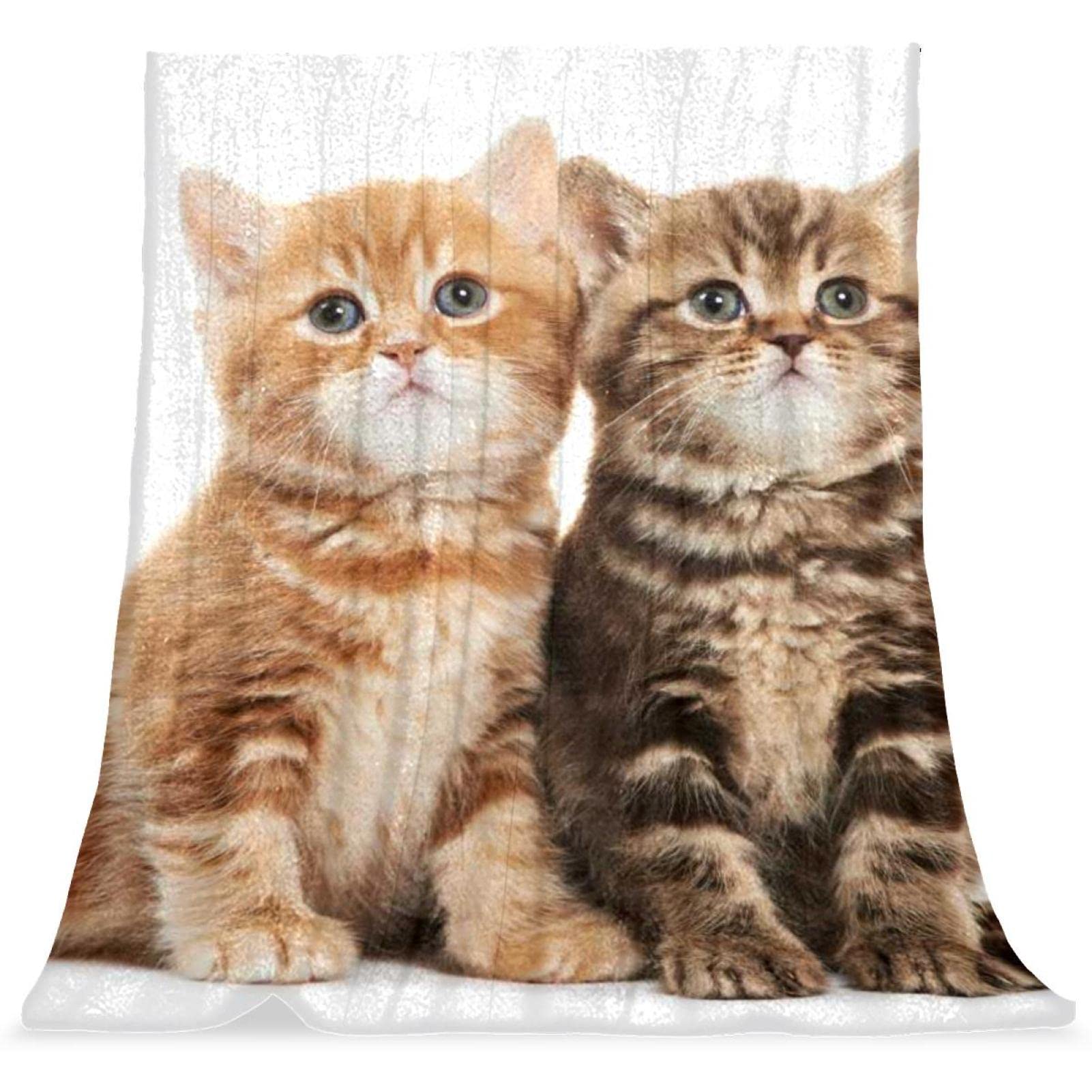 Couverture en peluche anti-froid pour chat et sieste confortable