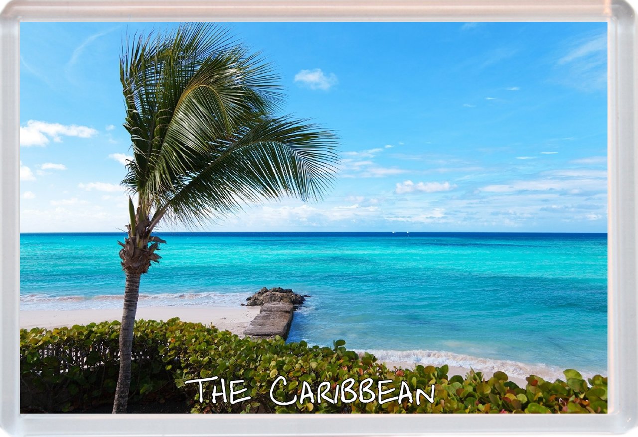 Baked Bean Store The Caribbean - Jumbo Fridge Magnet Id246