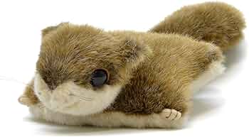 71WQZ3uMT8L._AC_UF350,