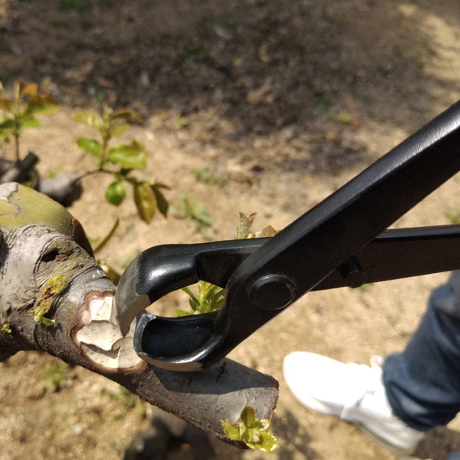 Juego de Herramientas para bonsái, Kit de Recorte de jardín de 6 Piezas de Grado Profesional con Bolsa de Almacenamiento para entusiastas y jardineros del bonsái, aleación de