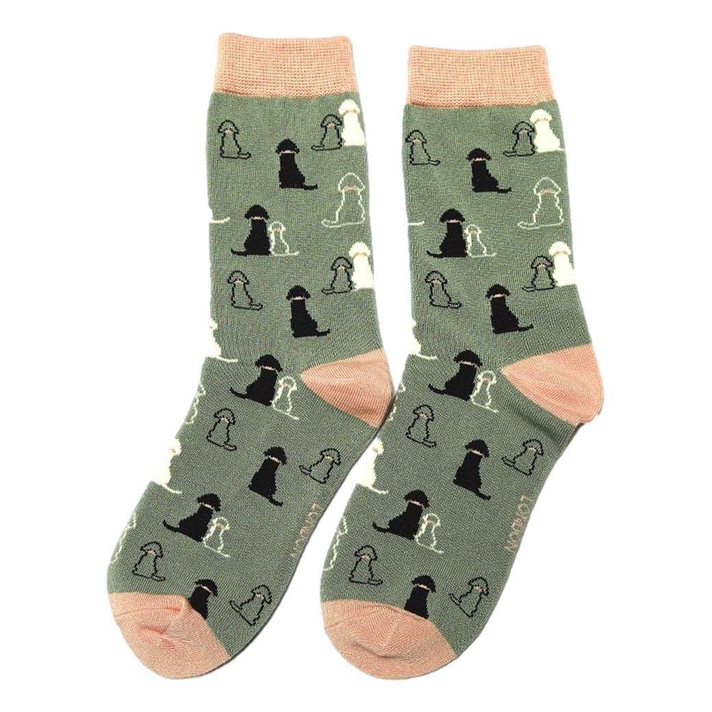Retriever Duck Egg Womens Novelty Ankle Socks Adult One Size