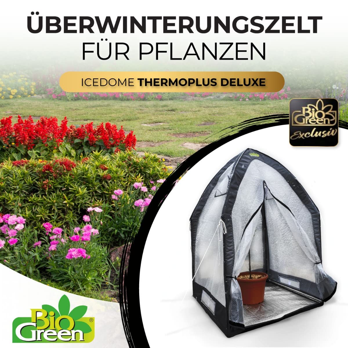 Bio Green Überwinterungszelt ICEDOME THERMOPLUS Deluxe | 3-lagige Luftpolsterfolie | Reflektorboden | Stabiler Metallrahmen