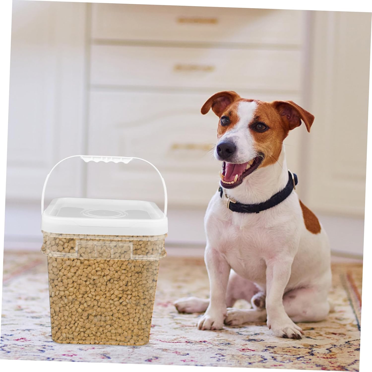 Food Grade 10L Sealed Barrel for Pet Food Dog Food Bucket Lids and Spoon for Dry Storage