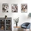 Product Photo 4