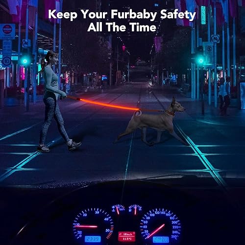 Miniatura 6 de Colaseeme Correa LED para perro, correa para perro iluminada, correa de nailon recargable micro USB, correa de nailon brillante estándar de