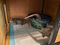 Review Image by Customer Customer