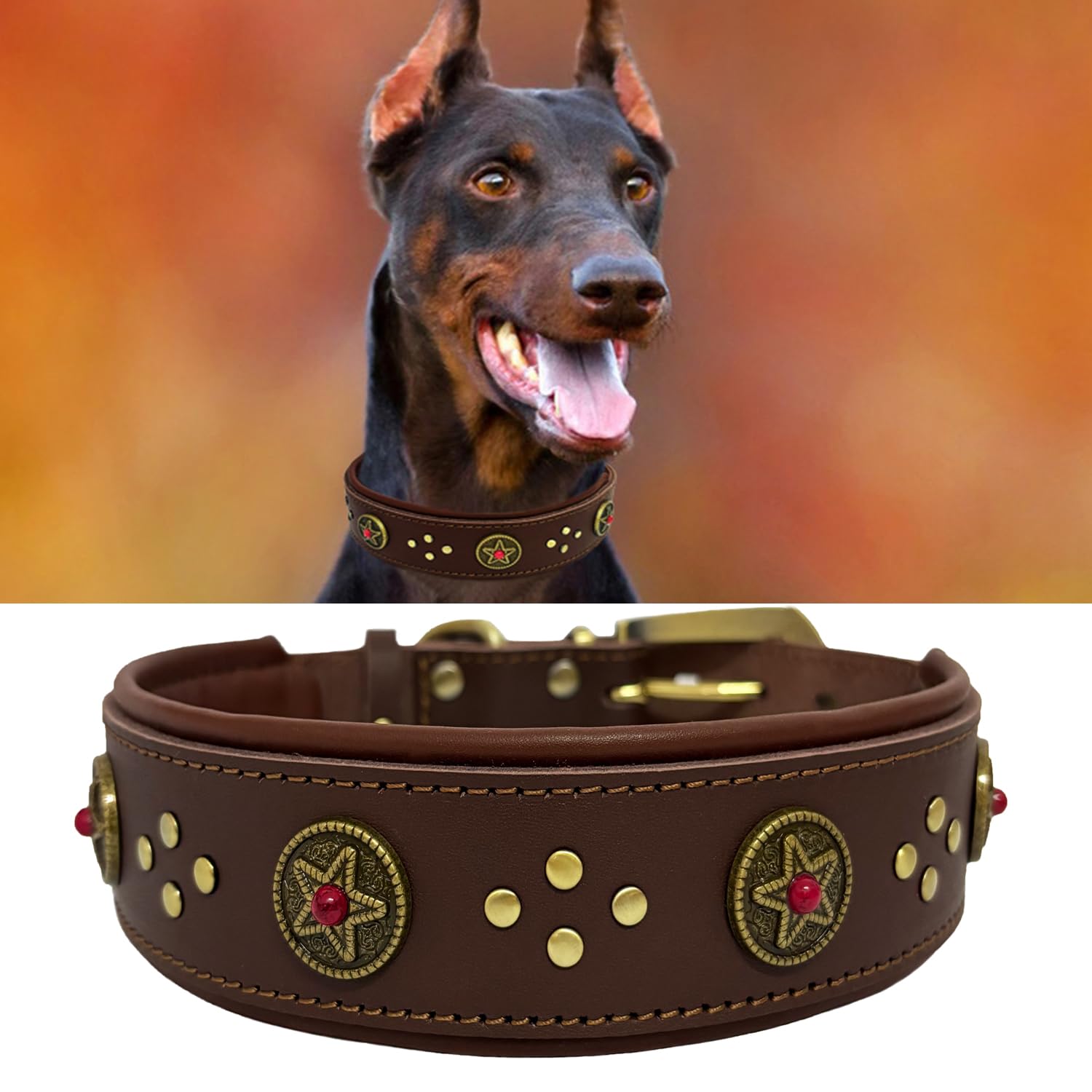 LWBMG 2-Inch Wide Genuine Leather Dog Collar