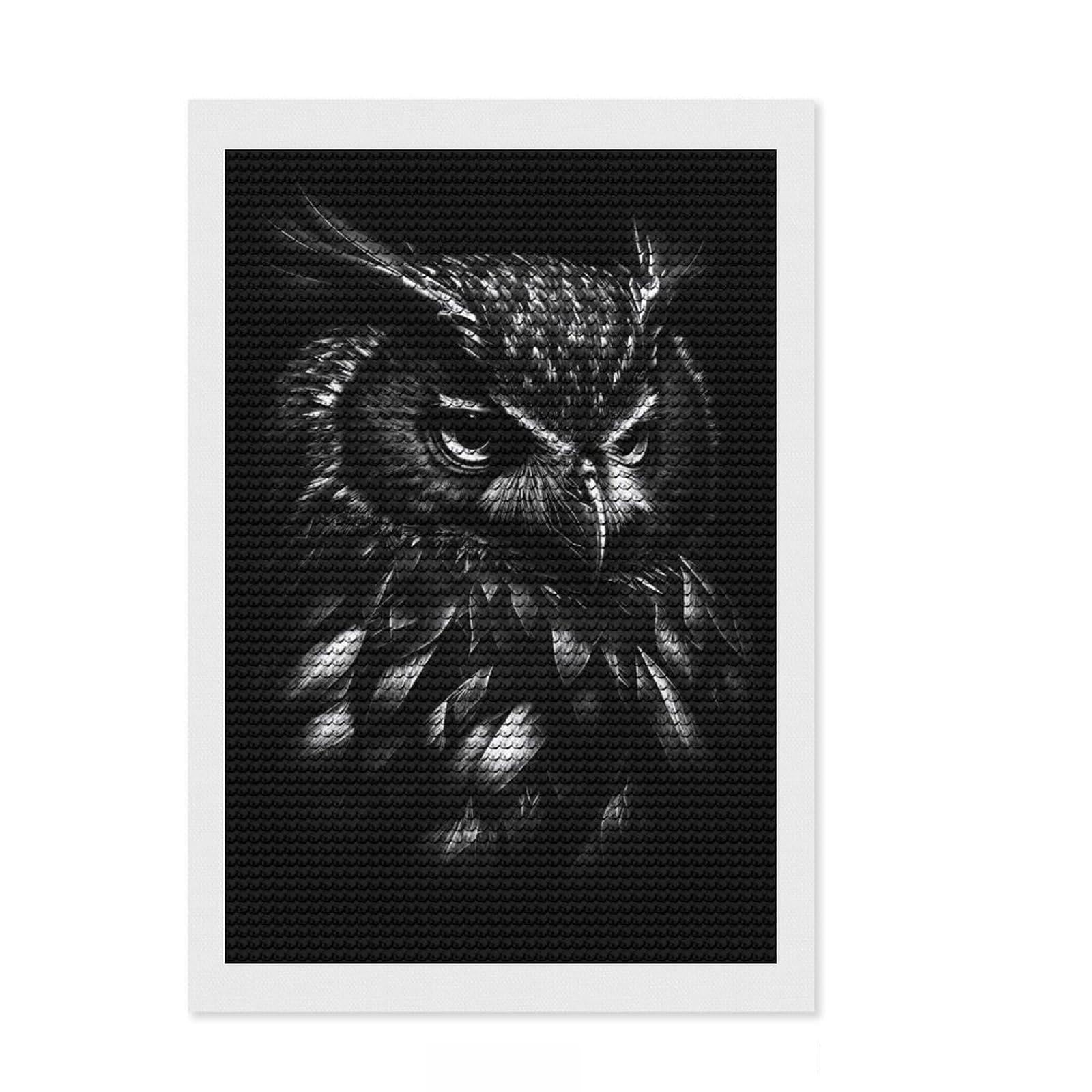 Junmoney BW Owl Diamond Art Kit 8"x12", Satisfying Creative Project, Printed Canvas, Home Wall Decor, Birthday Gift, with Tool Kit