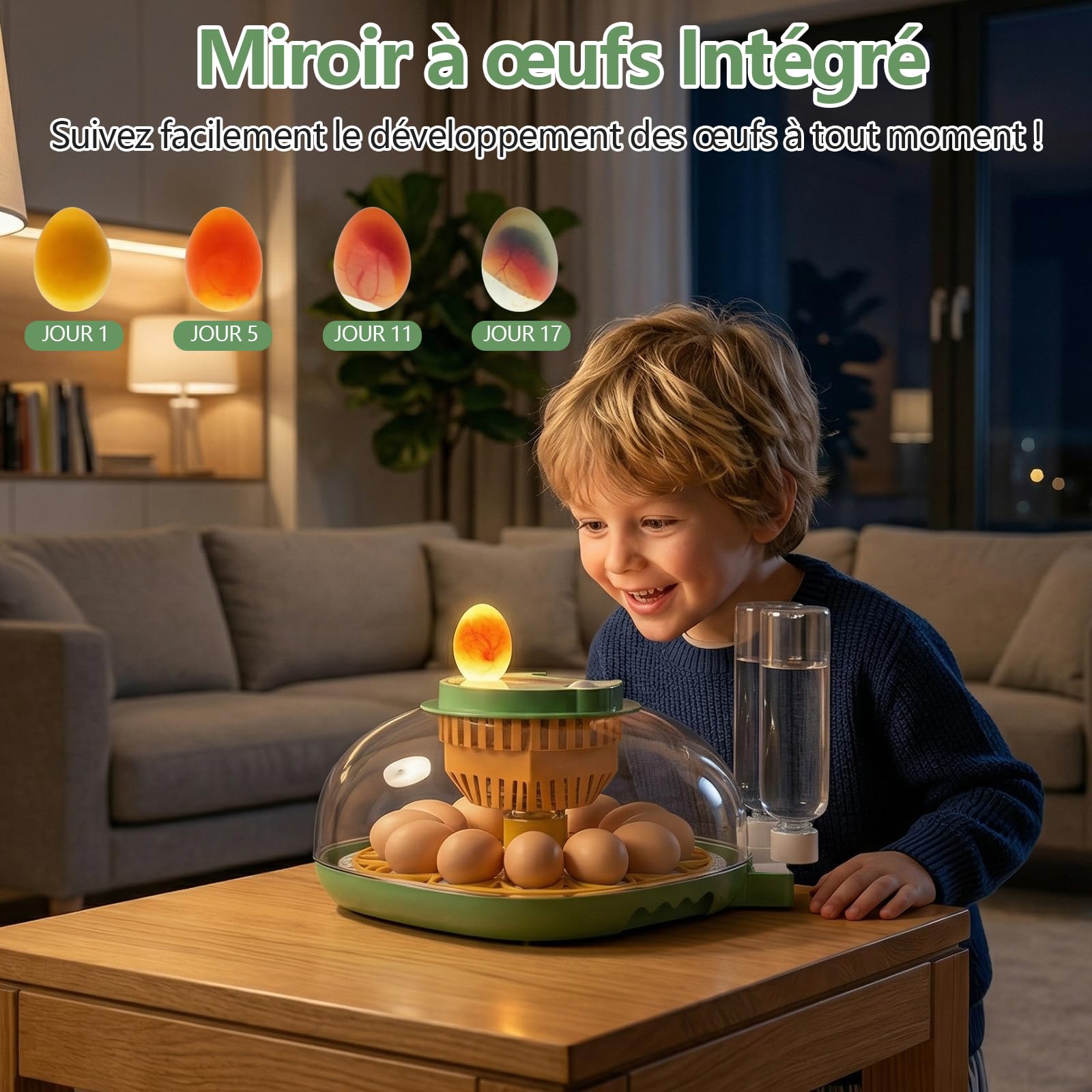 Couveuse Oeuf Automatique, Diealles Shine Incubateur Oeuf 12 Oeufs avec Retournement Automatique des Oeufs et Humidification Automatique, Couveuses pour Oeuf de Volailles avec Contrôle de Température