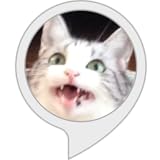 ビーストモード