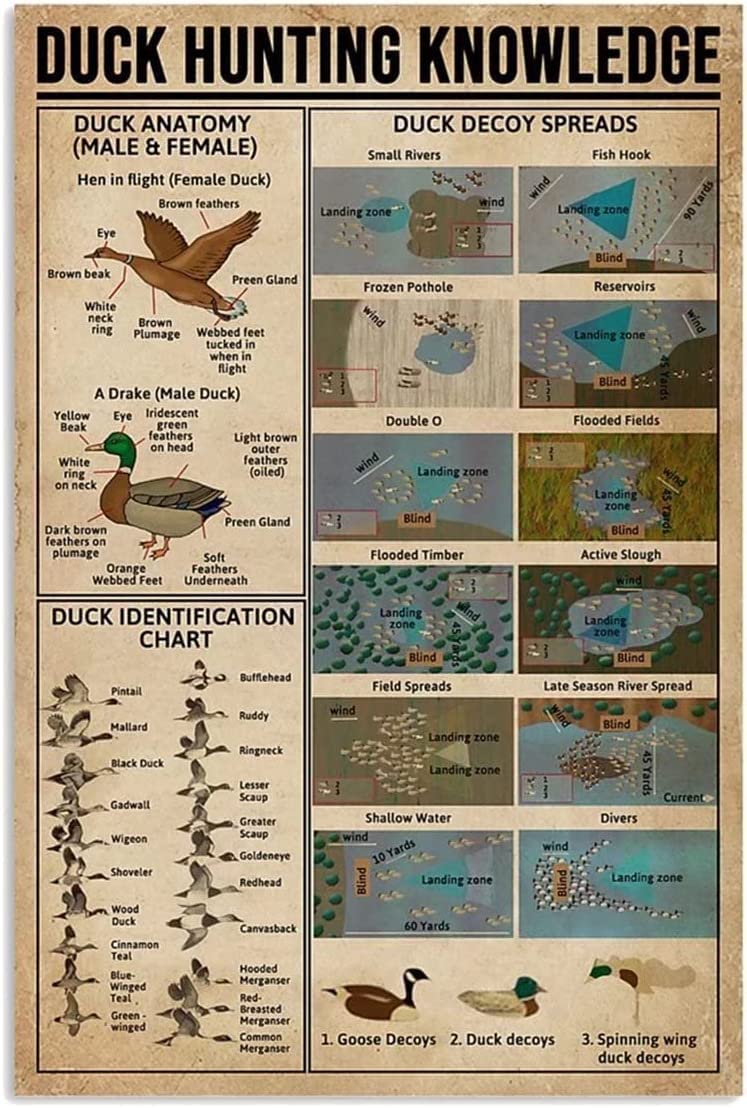 rayprint Birds Metal Tin Signs Duck Hunting Knowledge Wall Decor Poster Anatomy Information Chart Plaque For Rustic Home Living Room Bedroom Wall Decor 12x16 Inches