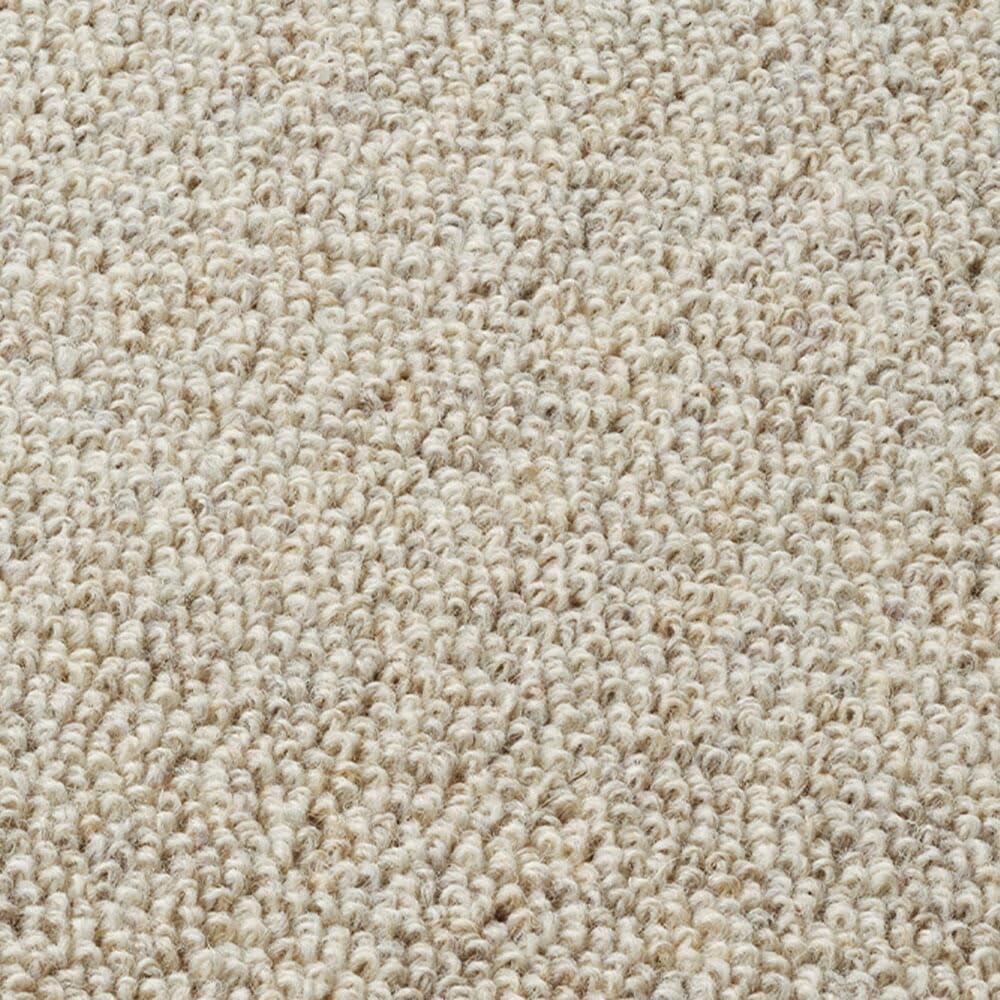 Amazon | 天然ウール100％ 防炎カーペット オペラ 江戸間 6畳 261