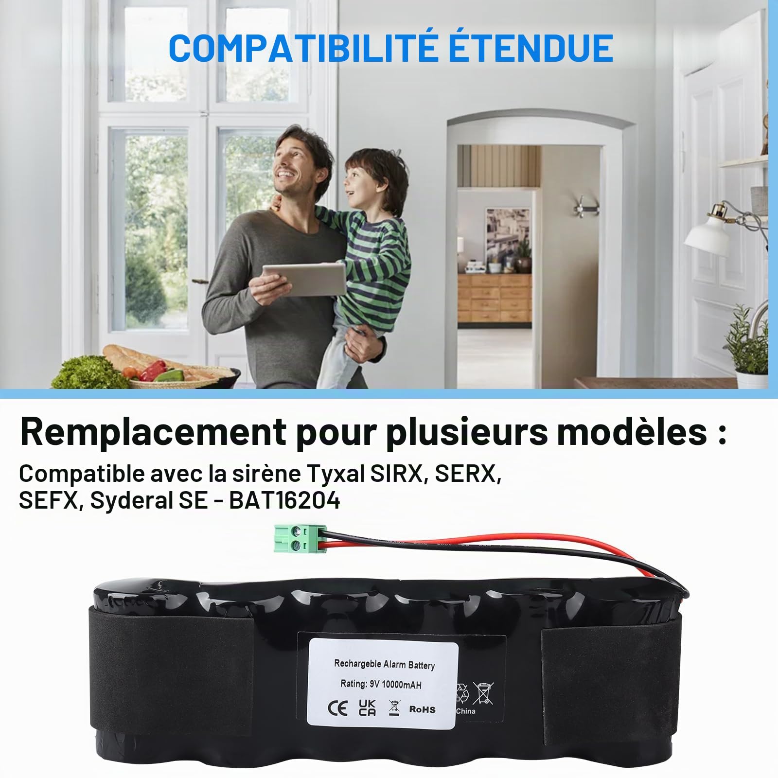 Pack Batterie BPX Compatible avec Sirène Extérieure Delta Dore SEFRX, Sirène SEFRX 6416204, Compatible avec Les Sirènes Tyxal SIRX, SERX, SEFX, SEFRX, Syderal SE