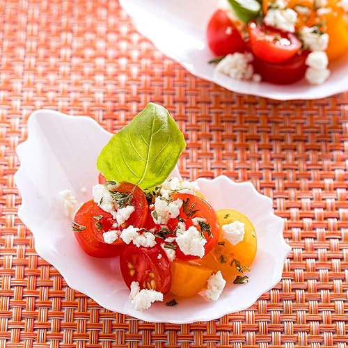 Miniatura 3 de Mini placa de coquille, placa de concha, placa de concha de ostra, plástico de alta calidad, 3.3 pulgadas, color blanco, caja de 100 quilates,