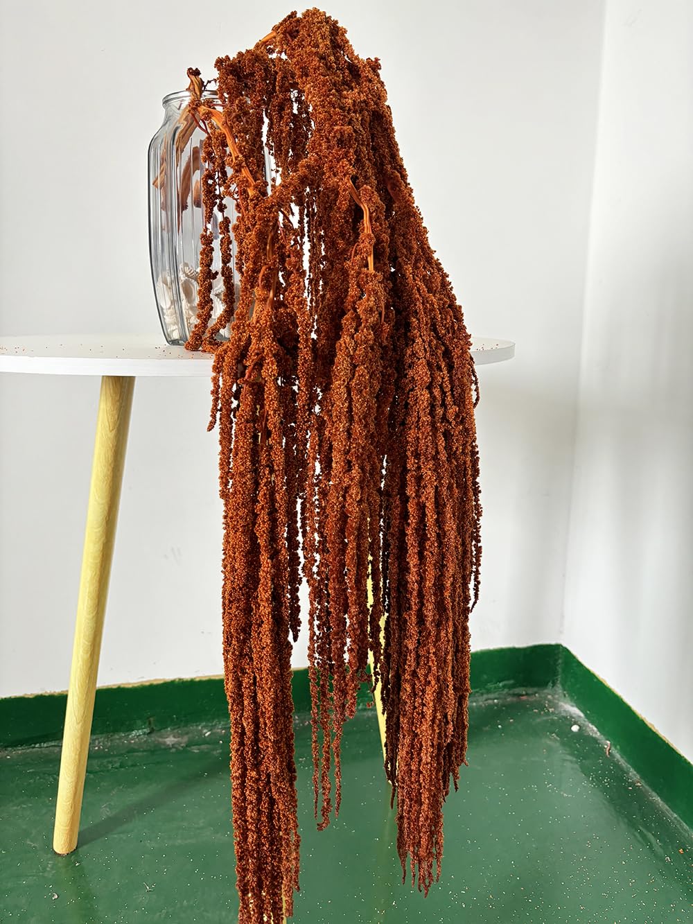 Dongarts Brown Natural Preserved Amaranthus Flowers, 5 Pcs Bleached Wisteria Vine Hanging Dried Flowers For Wedding Bouquet, Home Party Decor (Brown)
