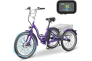 LILYPELLE 3 Wheel Moped: Electric Transportation for Mature Wheels