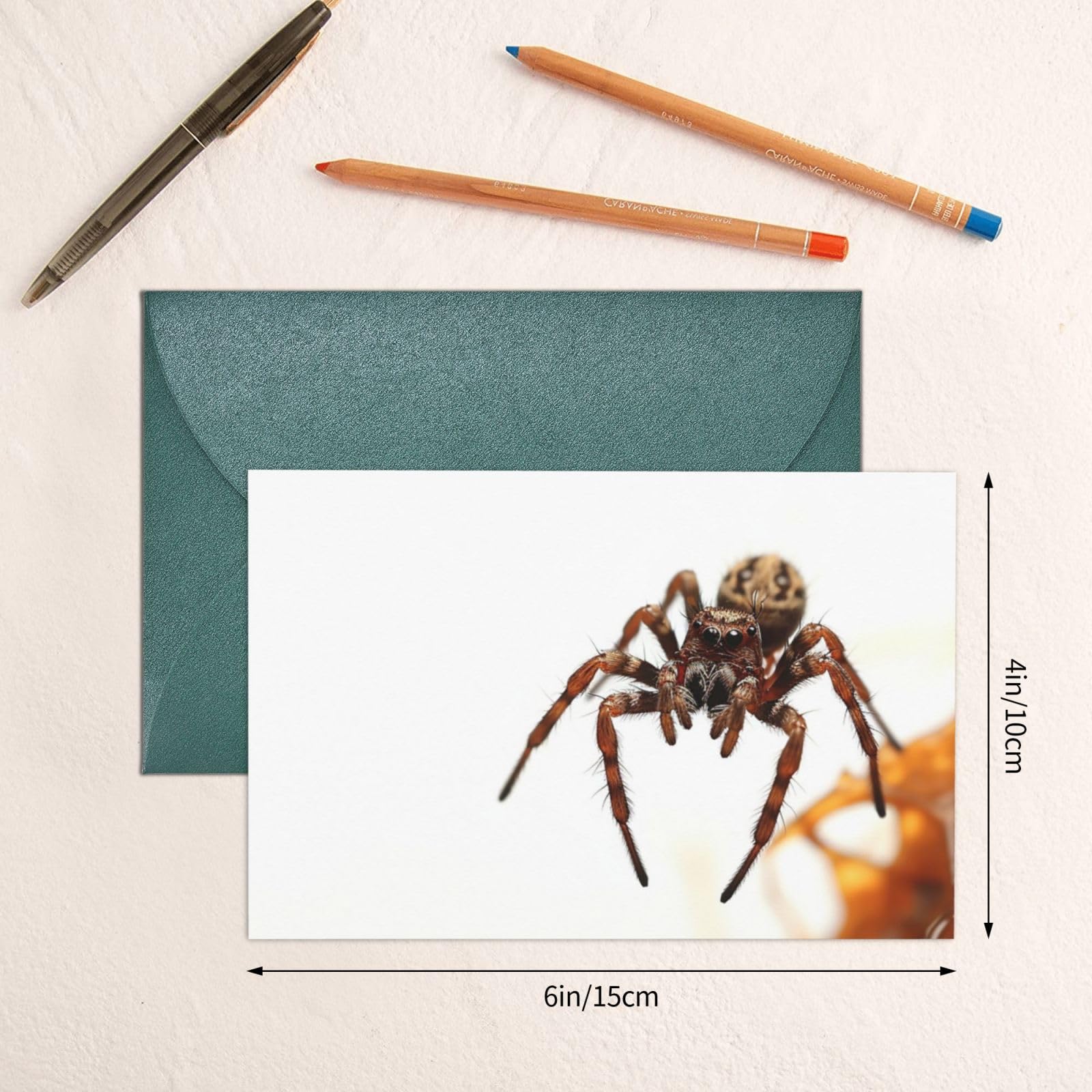 Greeting Cards, Black Spider Printed Blank Cards With Envelopes, Funny Thank You Cards, Happy Birthday Card For All Occasions, Birthday, Thank You, Wedding, 4 X 6 Inches - View #3