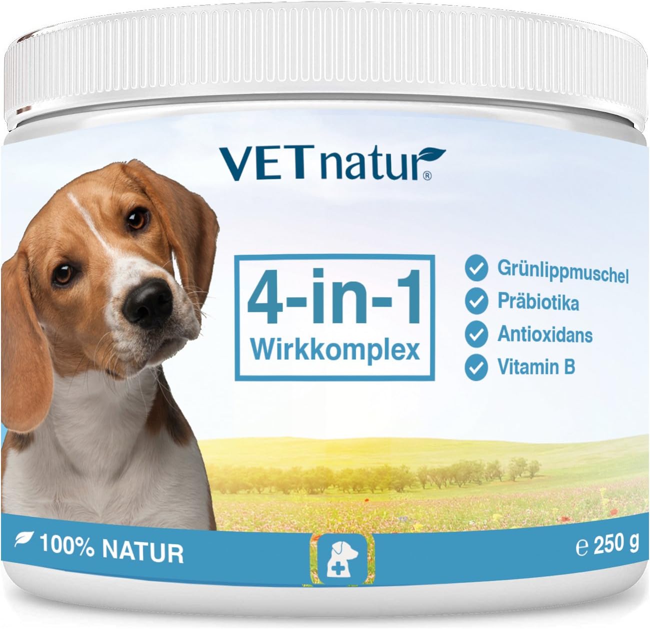 VETnatur® 4 in 1 green lipped mussel powder for dogs with increased antioxidant activity + prebiotics + vitamin B + zinc/iron | 100 % nature | Made in Germany - 250 g