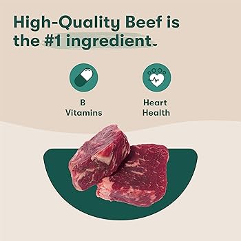 Jinx Beef Wet Dog Food Topper, Mix with Dry Dog Food, Made